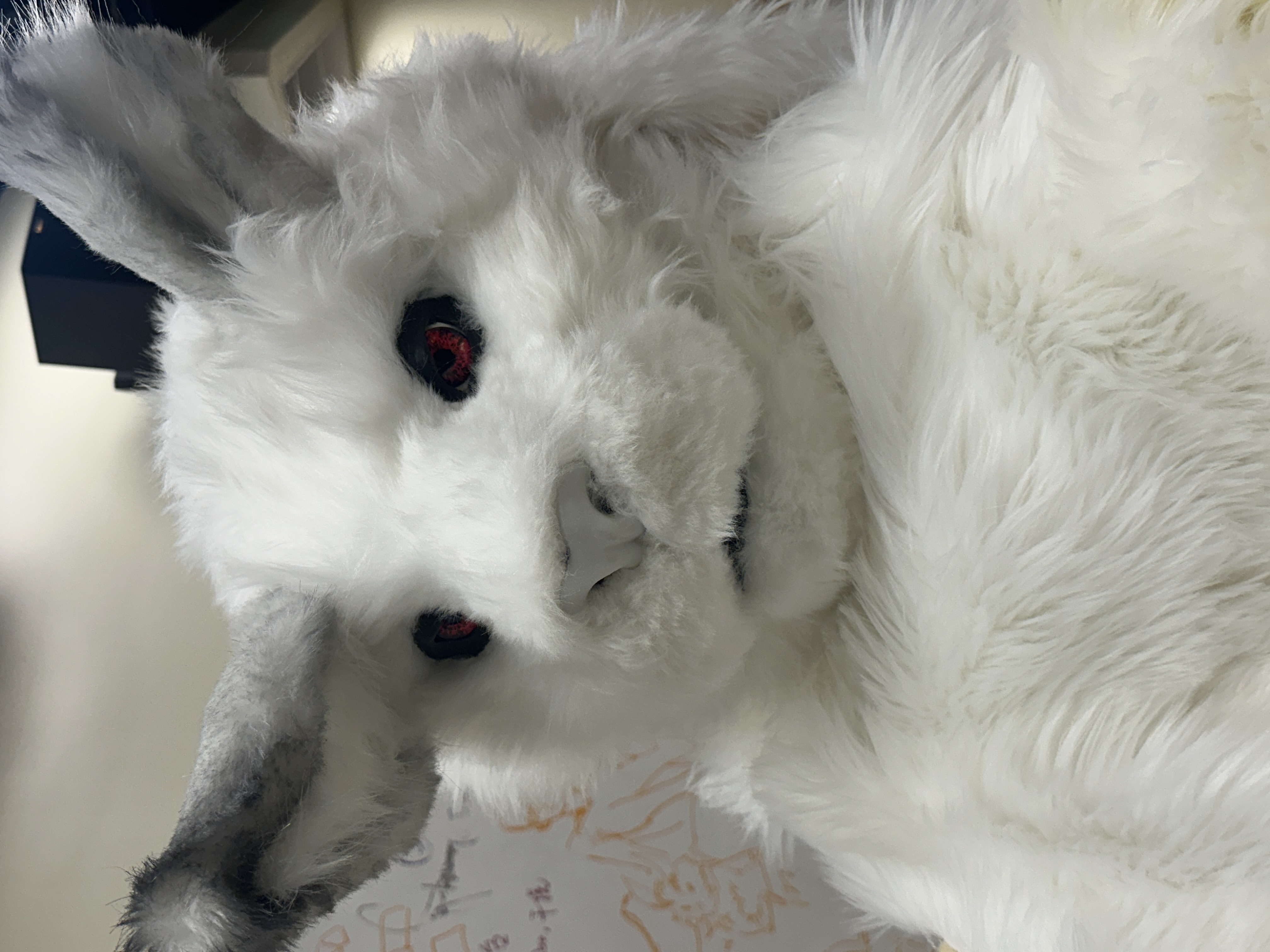 Close-up of Omu's completed facial construction